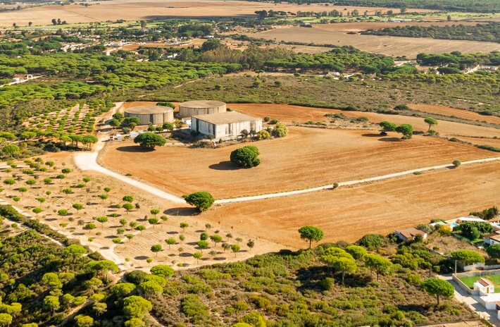 Land & Collective Sales