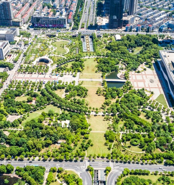 Land & Collective Sales